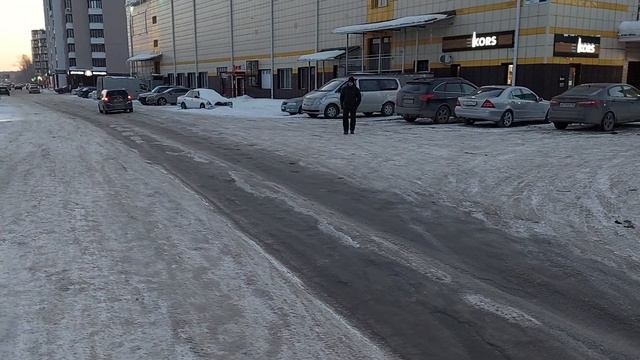 Дрессировка собак в Барнауле. Отличная выдержка и послушание.