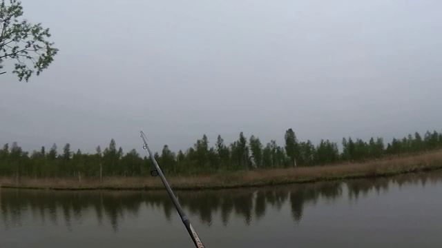 Рыбалка на щуку в БОЛОТЕ . Провалился в бобриную нору ! смотреть онлайн