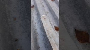 Снегозадержатели своими руками в бюджетном исполнении