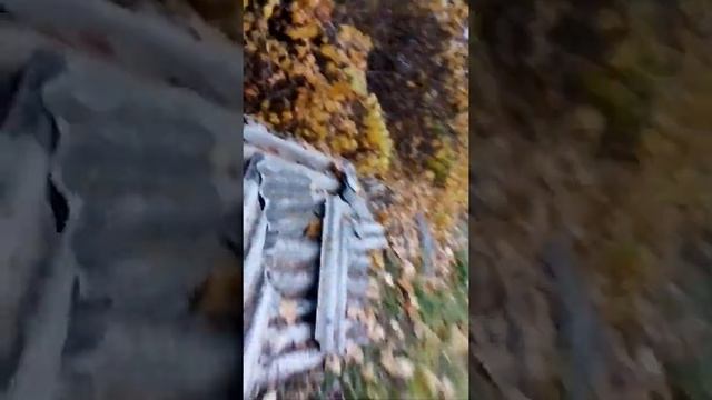 Жестокое похищение человека