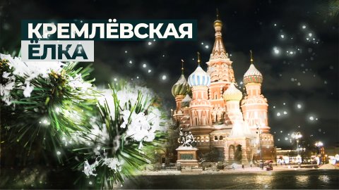 На Красную площадь привезли главную новогоднюю ёлку страны — видео