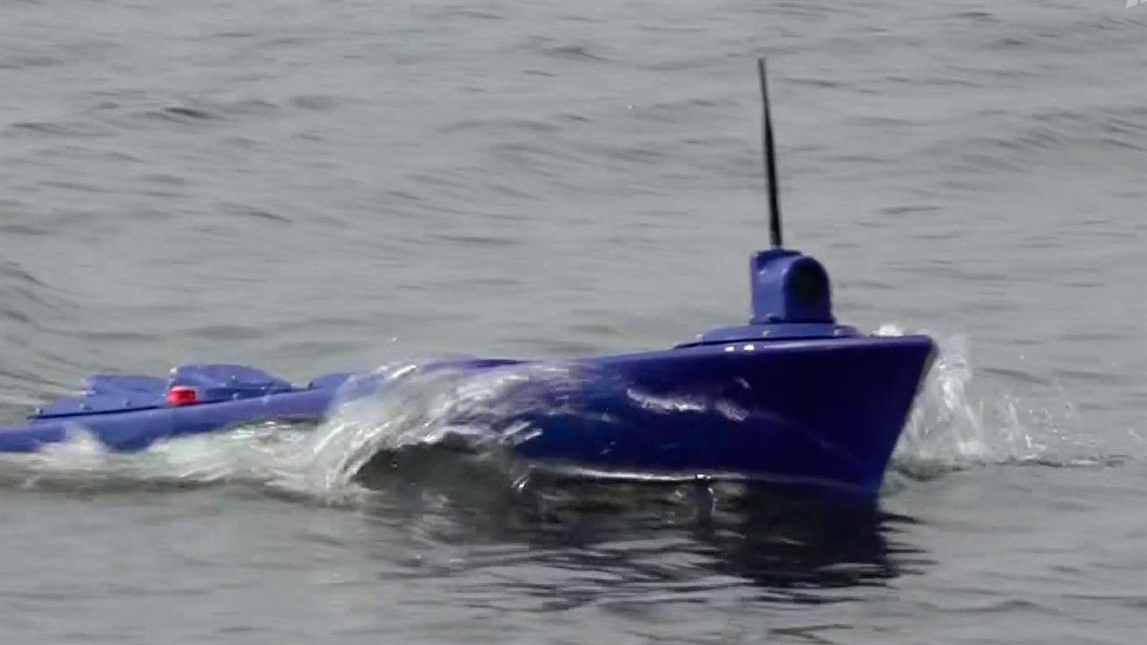 В Сахалинской области проходит проектно-образовательный интенсив "Архипелаг"