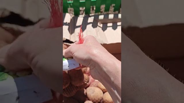 Распоковка посылки от Агра-марка отзыв о их товаре! смотреть онлайн