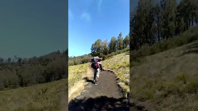 Toni Petualang Lagi Ada Di Sabana Gunung Lawu 🙏