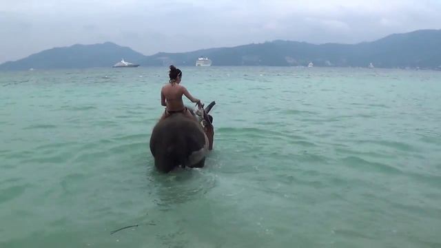 ПРИКОЛ!!! Поцелуи со слоном!!! ПХУКЕТ 2014 г смотреть онлайн