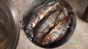 Окунь терпуг горячего копчения в медицинском биксе