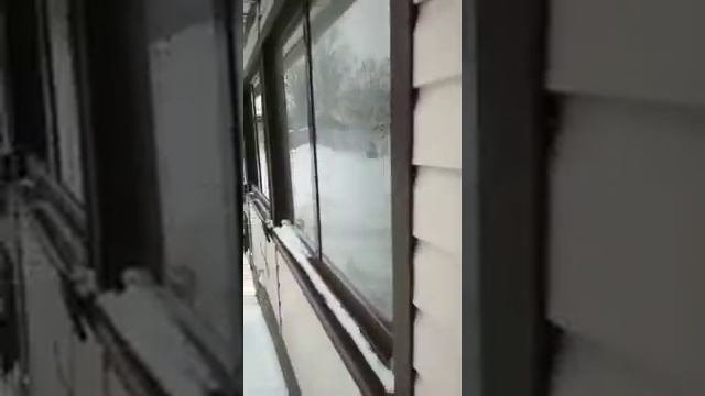 Раздвижные окна в Клину видео отзыв