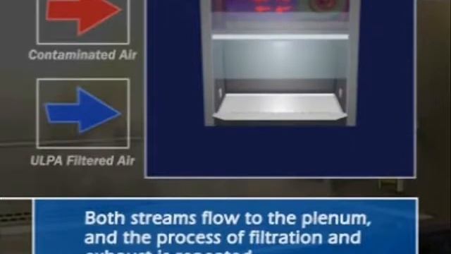 Порядок работы в боксе биологической безопасности. Учебное видео смотреть онлайн