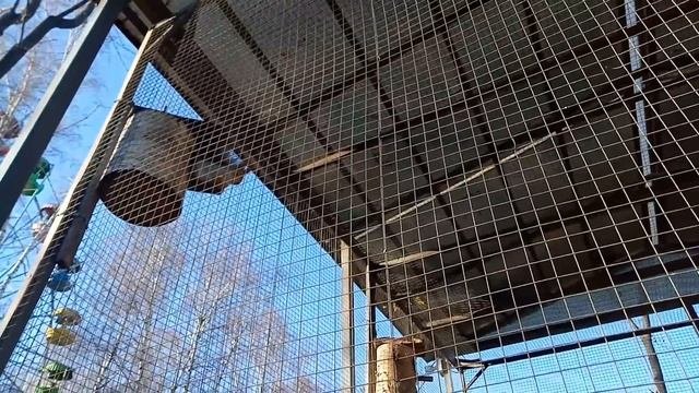 Орехово-Зуево, Московская область
