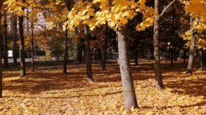 Осенний хоровод К. Блюм