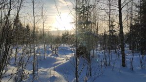 Первый Зимний Поход с Печкой и Тентом / Таймкод 👇