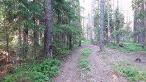 Ладога Трофи 2021. 1-2 день!