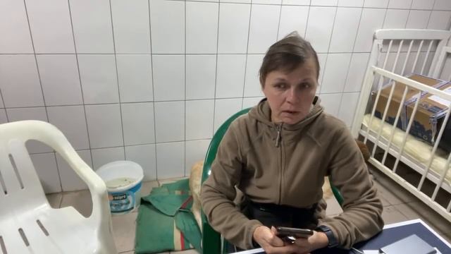 Вечер в приюте «Хвостатое счастье» Отвечаем на вопросы, общаемся с подписчиками