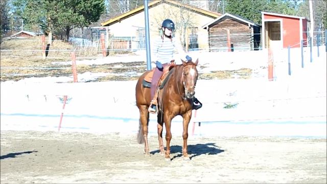Ratsastusta lännenhevosella 14.4.18 смотреть онлайн