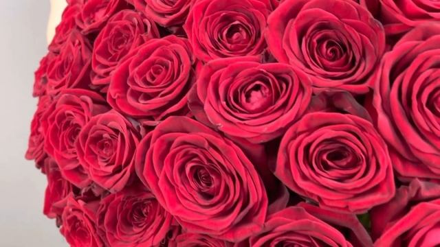 51 Роза Рэд Наоми 60 см смотреть онлайн