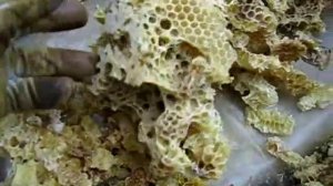 Как  давал подкормку  и  сушил  забрус (05.10.2018г .)