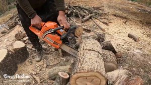 Husqvarna 353 Vs Meşe Kütüğü