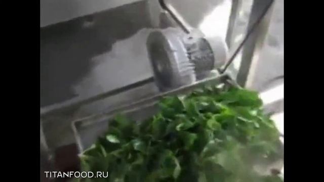 Машина для мойки овощей, фруктов и зелени Titan WA-3000