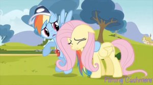 Boulevard of Broken Dreams mlp pmv