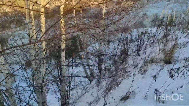 #вездеход #бездорожье проходимость вездехода тест лебёдки на вездеходе смотреть онлайн