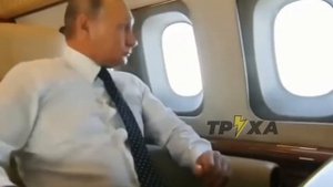 ?Дед Толя и Стефания вылетели на охоту.