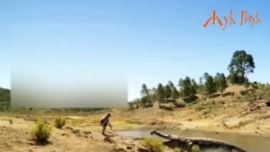 УЖАСНЫЕ ДОИСТОРИЧЕСКИЕ ХИЩНИКИ.