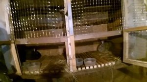 Сенник для кроликов своими руками.....Сделал из того что было...