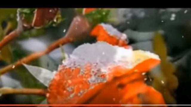 Промчался год   Галина Воленберг, муз  и исп  Самуила Фрумовича #СамуилФрумович
