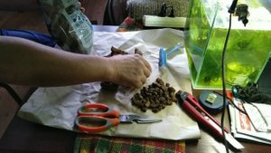 Посылка для аквариума лавовая крошка