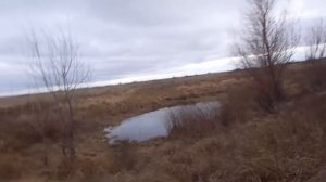 Охота на.Заяц. охоту.05.11.2017.Алтай степной.Хеппи энд.