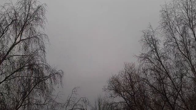 Неделя будет пасмурной Туманной местами осадки вечернее ночное время 4 01 21 год смотреть онлайн