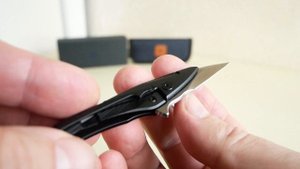 Petrified fish PFE10 DS Hummingbird Mini, M390 Satin, Titanium Black