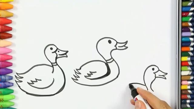 Как нарисовать пингвина | учить цвета | учить животные | How To Draw Penguin смотреть онлайн