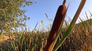 Рыбалка Крым 2024