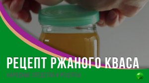 Рецепт ржаного кваса