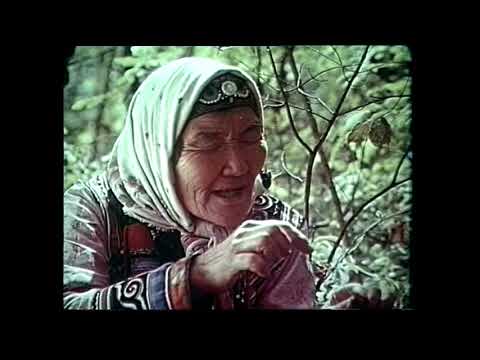 Легенда Уссурийской тайги