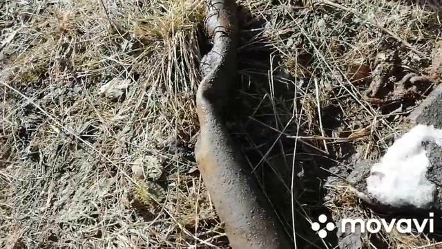 Открытие металокопа Пермский край. #железо #коп #чермет #металлокоп