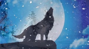 ПОГОНЯЮ  ЛОШАДЕЙ  ПО  СНЕГУ  БЕЛОМУ...  до отчаяния, до боли, до слез...  Монтаж и исп. Л.Скат