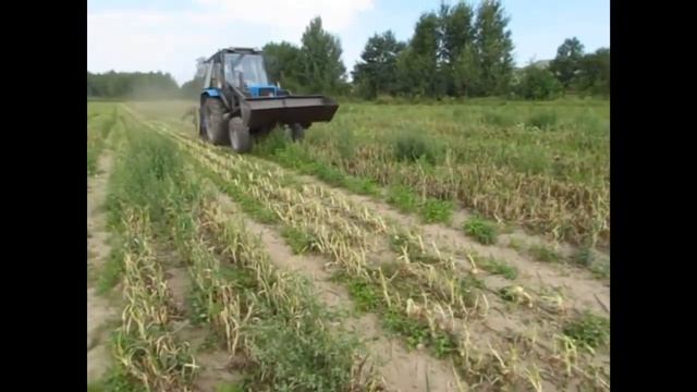 Ботвоудалитель лука, моркови смотреть онлайн