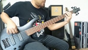 Ibanez SR305EB-WK (Pickups Sound Demo)