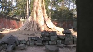 TA PROHM temple, Cambodia