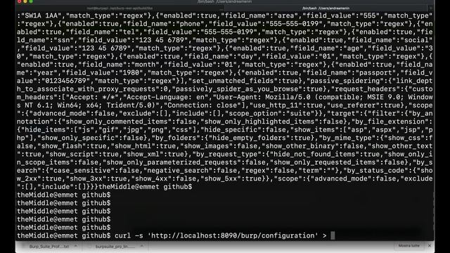 BurpSuite REST API: Active scan automatico grazie a burp-rest-api e docker смотреть онлайн