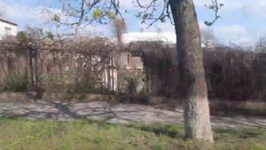 Новая Каховка, Центральная Основа проезд