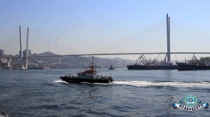 ФОРМУЛА ШТУРМАНА