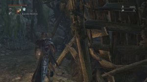 Прохождение Bloodborne [11] - Запретный Лес / Forbidden Forest, Лечебница Йозефки / Iosefka's Clini