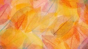 ProShow Producer footage / Осенний футаж -  фон для видеомонтажа 5