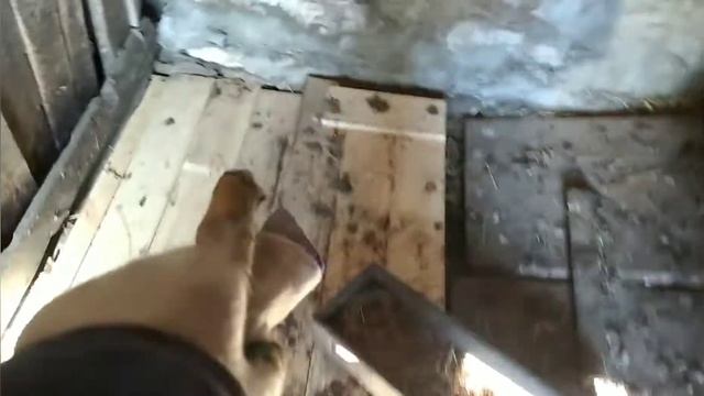 Как я полы в курятнике укладывал. смотреть онлайн