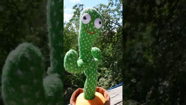 Танцующий говорящий кактус. Игрушка повторюшка. Dancing cactus #Shorts