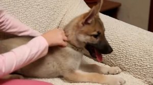 Еврочехлы – маленькие хитрости для экспресс-обновления мягкой мебели!