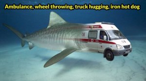 Thematic compilation of crashes, ambulance, tram, hugging a truck, throwing wheels